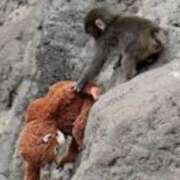 ヒメ日記 2026/02/27 15:23 投稿 まお 水戸人妻花壇