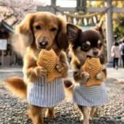 ヒメ日記 2026/02/27 19:55 投稿 まお 水戸人妻花壇