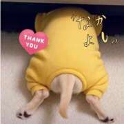 ヒメ日記 2026/02/28 02:56 投稿 まお 水戸人妻花壇