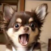 ヒメ日記 2026/02/28 15:37 投稿 まお 水戸人妻花壇