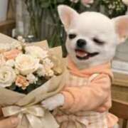 ヒメ日記 2026/02/28 18:30 投稿 まお 水戸人妻花壇