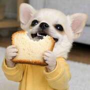 ヒメ日記 2026/03/03 21:00 投稿 まお 水戸人妻花壇