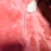 ヒメ日記 2026/03/04 10:10 投稿 まお 水戸人妻花壇