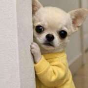 ヒメ日記 2026/03/04 23:02 投稿 まお 水戸人妻花壇