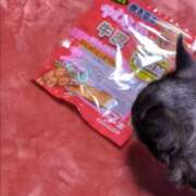 ヒメ日記 2026/03/05 15:04 投稿 まお 水戸人妻花壇