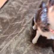 ヒメ日記 2026/03/27 15:51 投稿 まお 水戸人妻花壇