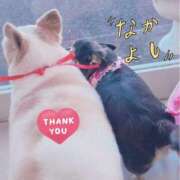 ヒメ日記 2026/03/29 13:35 投稿 まお 水戸人妻花壇