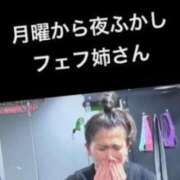 ヒメ日記 2026/04/07 11:04 投稿 まお 水戸人妻花壇