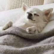 ヒメ日記 2026/04/08 21:11 投稿 まお 水戸人妻花壇