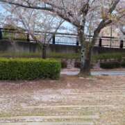 ヒメ日記 2026/04/09 12:55 投稿 まお 水戸人妻花壇