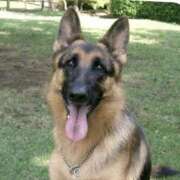 ヒメ日記 2026/04/14 21:12 投稿 まお 水戸人妻花壇