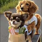 ヒメ日記 2026/04/18 11:56 投稿 まお 水戸人妻花壇