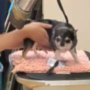 ヒメ日記 2026/05/28 11:31 投稿 まお 水戸人妻花壇