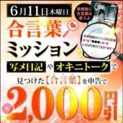 ヒメ日記 2026/06/11 18:10 投稿 まお 水戸人妻花壇