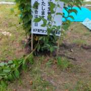 ヒメ日記 2026/07/25 14:22 投稿 まお 水戸人妻花壇