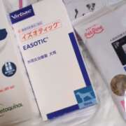 ヒメ日記 2026/09/14 20:42 投稿 まお 水戸人妻花壇