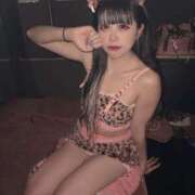 ヒメ日記 2025/04/05 09:23 投稿 ひなた クラブKG