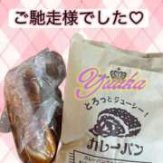 ヒメ日記 2026/01/22 19:08 投稿 ユウカ びしょぬれ新人秘書