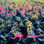 ヒメ日記 2025/08/04 17:36 投稿 ユウカ びしょぬれ潮吹秘書