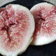 ヒメ日記 2025/08/30 20:14 投稿 岩崎あや 五十路マダム愛されたい熟女たち 福山店(カサブランカグループ)