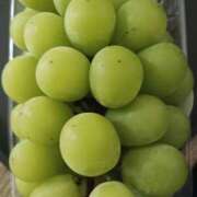 ヒメ日記 2025/10/27 11:10 投稿 岩崎あや 五十路マダム愛されたい熟女たち 福山店(カサブランカグループ)