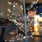 ヒメ日記 2025/07/31 02:49 投稿 粧子 夢ごろも