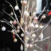 ヒメ日記 2025/12/05 17:26 投稿 粧子 夢ごろも