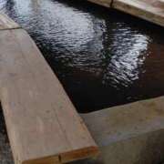 ヒメ日記 2024/12/22 13:25 投稿 葵 夢ごろも