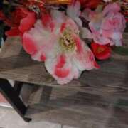 ヒメ日記 2025/01/14 11:58 投稿 葵 夢ごろも