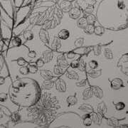 ヒメ日記 2025/02/17 10:44 投稿 葵 夢ごろも