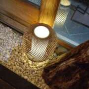 ヒメ日記 2025/03/14 21:46 投稿 葵 夢ごろも