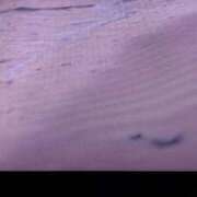 ヒメ日記 2025/05/03 13:52 投稿 葵 夢ごろも