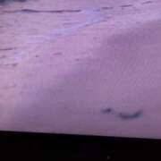 ヒメ日記 2025/08/25 13:37 投稿 葵 夢ごろも