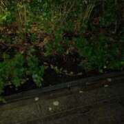 ヒメ日記 2025/08/31 20:48 投稿 葵 夢ごろも