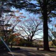 ヒメ日記 2025/11/23 10:14 投稿 葵 夢ごろも