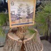 ヒメ日記 2026/01/14 10:58 投稿 葵 夢ごろも