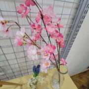 ヒメ日記 2025/04/01 08:23 投稿 ゆかり 奥様特急三条店