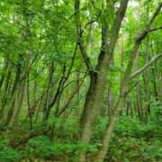 ヒメ日記 2025/07/15 09:10 投稿 ゆかり 奥様特急三条店