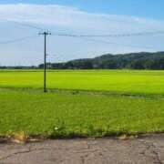 ヒメ日記 2025/07/24 12:23 投稿 ゆかり 奥様特急三条店