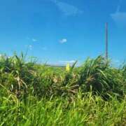 ヒメ日記 2025/08/04 09:25 投稿 ゆかり 奥様特急三条店