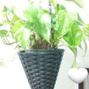 ヒメ日記 2024/12/10 00:47 投稿 りお リップサロン VOGUE ヴォーグ