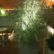 ヒメ日記 2025/03/18 19:35 投稿 りお リップサロン VOGUE ヴォーグ