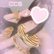 ヒメ日記 2025/09/15 10:48 投稿 こころ かりんとplus　上野御徒町