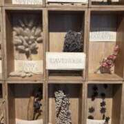 ヒメ日記 2025/03/17 11:04 投稿 あきら VIVIDCREW十三店