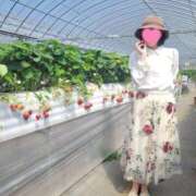 ヒメ日記 2025/05/01 12:16 投稿 Ren Saotome ELEGANT－エレガント－