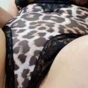 ヒメ日記 2025/01/29 11:46 投稿 河谷麻美 五十路マダム愛されたい熟女たち 福山店(カサブランカグループ)