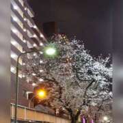 ヒメ日記 2025/03/29 20:55 投稿 村上 誘惑マル秘ミセス