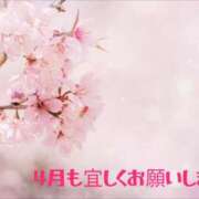 ヒメ日記 2026/04/01 20:03 投稿 村上 誘惑マル秘ミセス