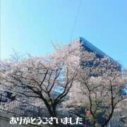 ヒメ日記 2026/04/03 19:50 投稿 村上 誘惑マル秘ミセス