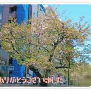 ヒメ日記 2026/04/08 20:23 投稿 村上 誘惑マル秘ミセス